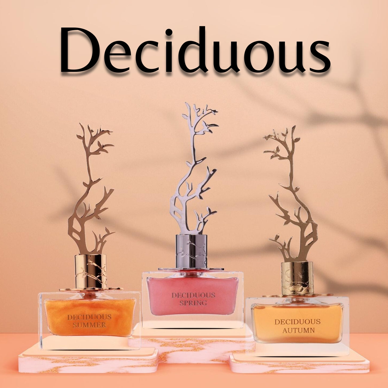 Decidious Winter di Aurora