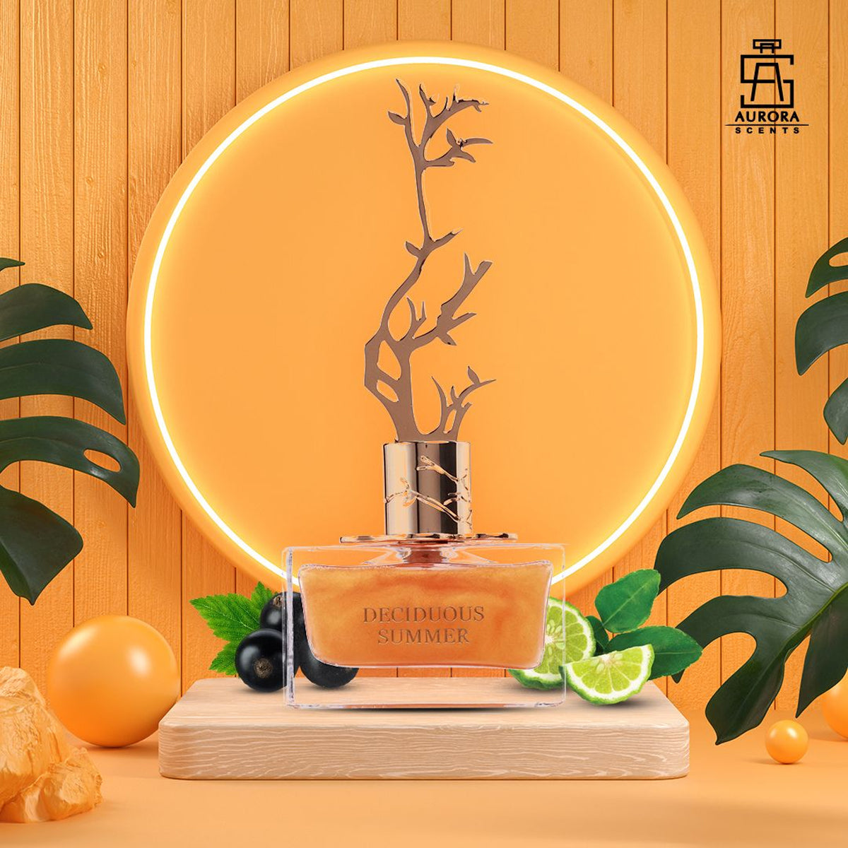 Decidious Summer di Aurora